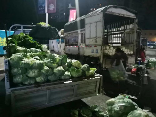 川祖廟農貿市場整體搬遷，京投果蔬農副產品批發市場引領忠縣商貿流通業轉型升級